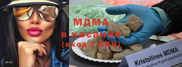 индика Алексин