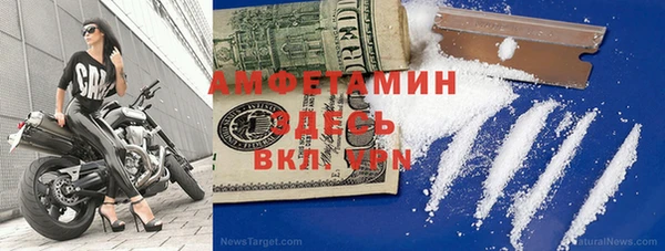 индика Алексин