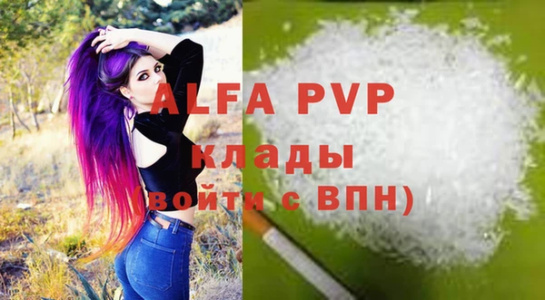 индика Алексин