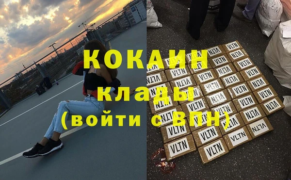 индика Алексин