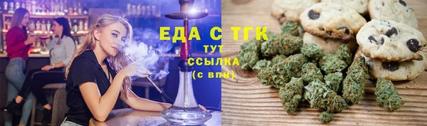 индика Алексин